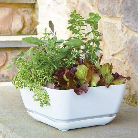 Garden Planter White - 12-inches